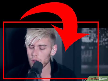 How to Download Music and Video in Firefox With Net Video Hunter Picture 2
