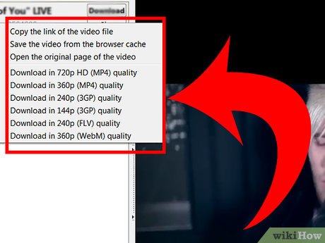 How to Download Music and Video in Firefox With Net Video Hunter Picture 3