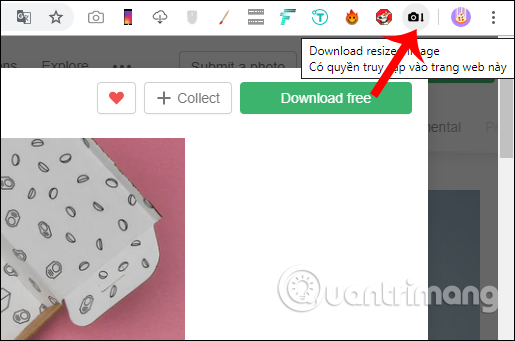 How to download Unsplash images according to an optional size Picture 2