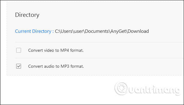 How to download videos and audio on AnyGet Windows 10 Picture 9