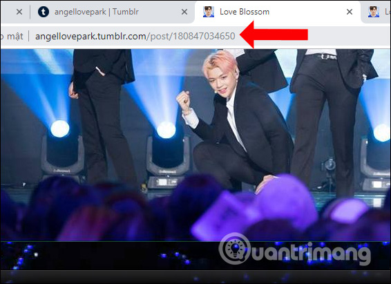 How to download videos on Tumblr Picture 2