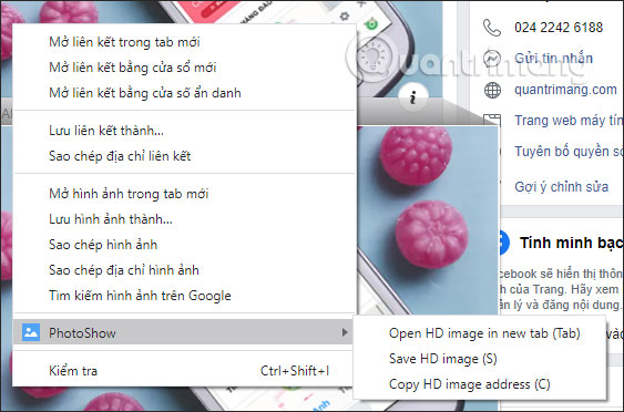 How to download web page thumbnails using PhotoShow Picture 2