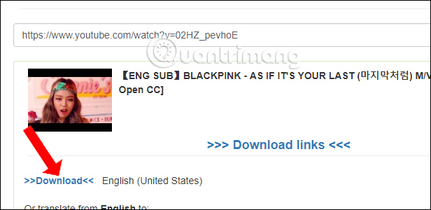 How to download YouTube subtitles, download sub on YouTube fast, most standard Picture 13