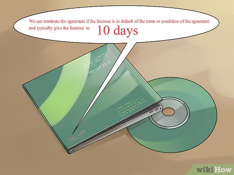 How to Draft a Software Licensing Agreement Picture 11