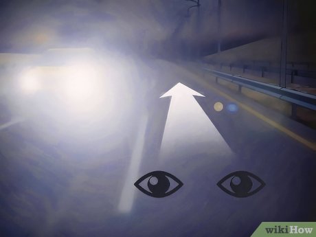 How to Drive at Night Picture 11