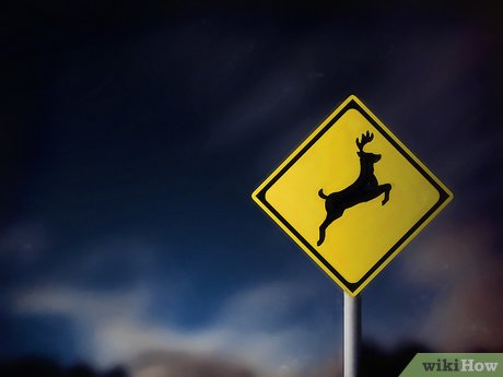 How to Drive at Night Picture 5