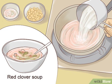 How to Eat Red Clover Picture 10