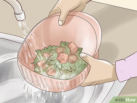 How to Eat Red Clover Picture 2