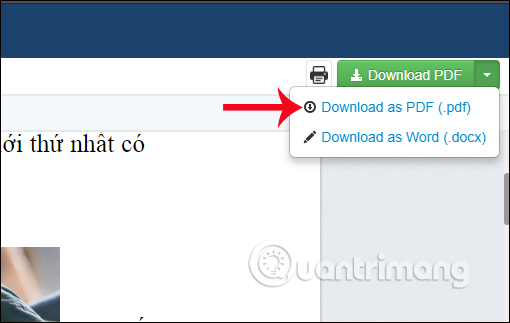 How to edit PDF file using FormSwift online Picture 15