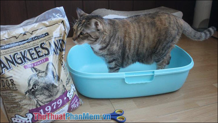 How to effectively remove shoe odor Picture 9