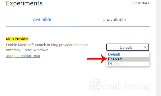 How to enable advanced search on Microsoft Edge Chromium Picture 3