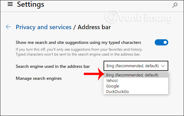 How to enable advanced search on Microsoft Edge Chromium Picture 8