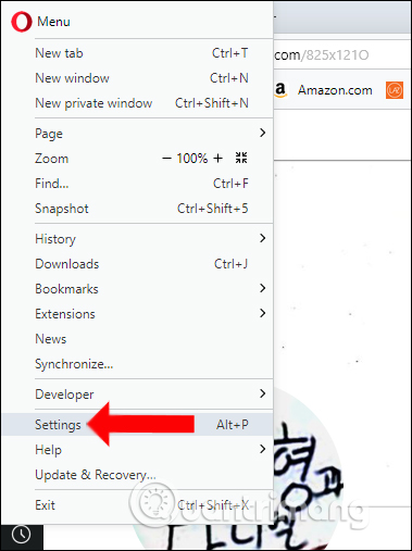 How to enable Do Not Track mode on the browser Picture 11