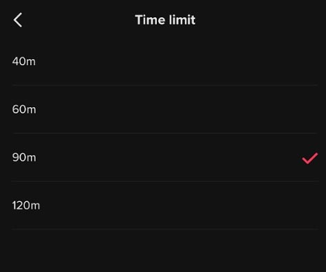 How to enable TikTok 'detox' Picture 4