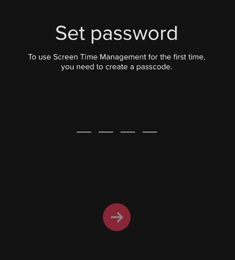 How to enable TikTok 'detox' Picture 5