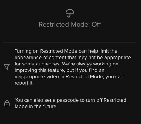 How to enable TikTok 'detox' Picture 7