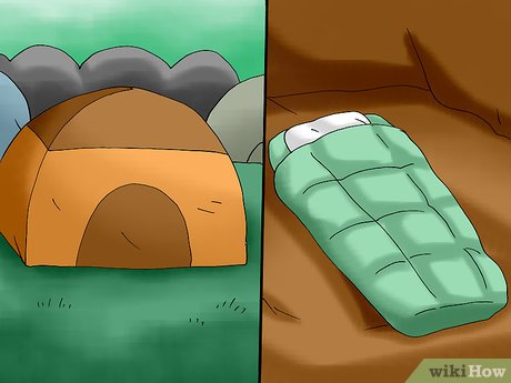 How to Enjoy a Festival Picture 3