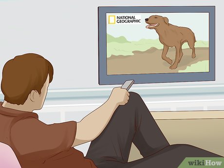 How to Enjoy TV Picture 12