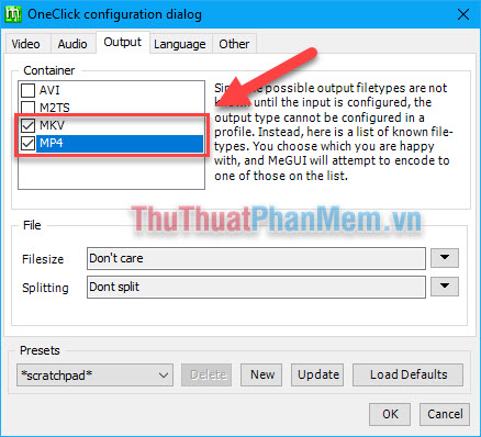 How to export video (encode video) in Aegisub with MeGUI software Picture 8