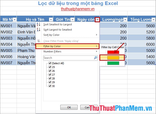 How to filter data in Excel Picture 10
