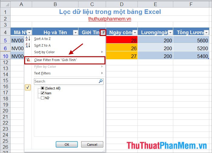 How to filter data in Excel Picture 6