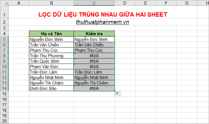 How to filter duplicate data from 2 Sheets in Excel Picture 12