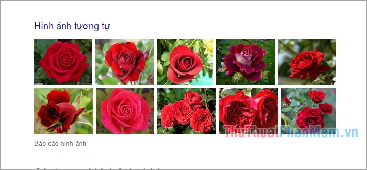 How to find similar images with Google Images (Google Images) Picture 11