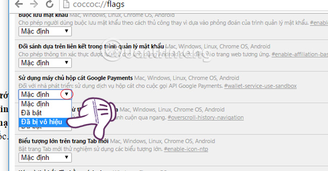 How to fix Coc Coc error is not accessible Picture 4