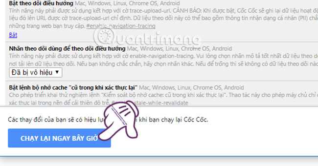 How to fix Coc Coc error is not accessible Picture 5