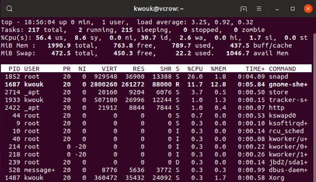 How to fix high memory usage error on Linux Picture 1