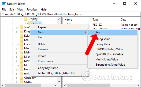 How to fix the black screen of the Raid game Picture 5