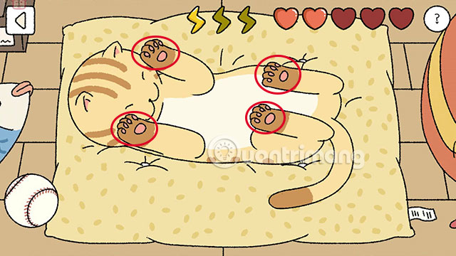 How to fondle a cat in Adorable Home is easy to get a heart Picture 2