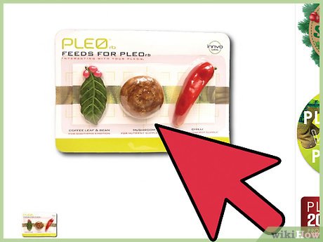 How to Get a PLEO Picture 11