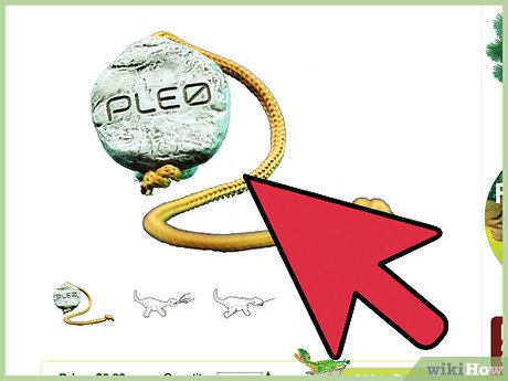 How to Get a PLEO Picture 12