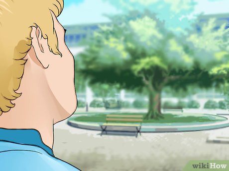 How to Get Inauguration Tickets Picture 8