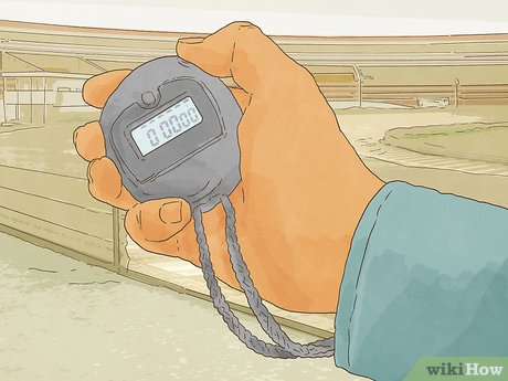 How to Get Into Racing Picture 14
