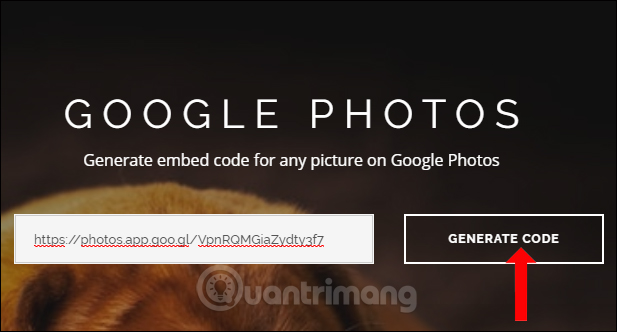 How to get the embed code on Google Photos Picture 4