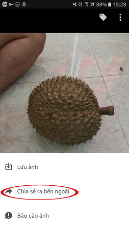 How to get video links, article links, Facebook photo links Picture 10