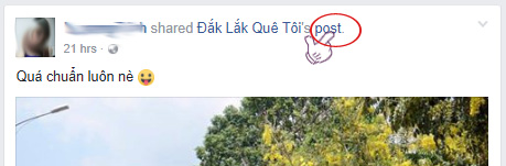 How to get video links, article links, Facebook photo links Picture 3