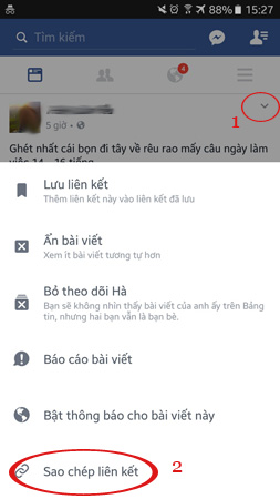 How to get video links, article links, Facebook photo links Picture 9