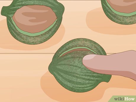 How to Grow Macadamia Nuts Picture 17