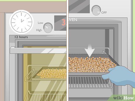 How to Grow Macadamia Nuts Picture 20