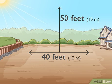 How to Grow Macadamia Nuts Picture 6