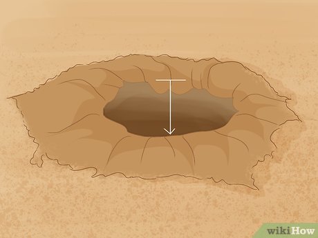 How to Grow Macadamia Nuts Picture 8