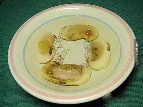 How to grow mangoes and labels from seeds super fast Picture 5