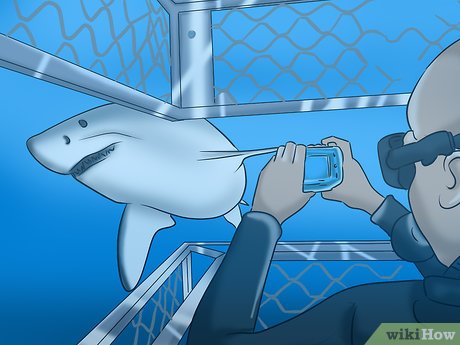 How to Have a Fun Life Picture 3