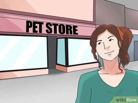How to Have Fun at a Mall Picture 2