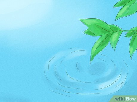 How to Have Presence Picture 5