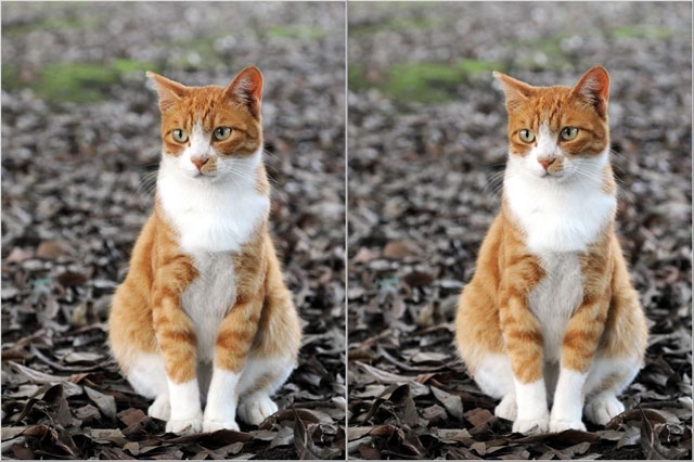 How to hide confidential data in images or audio files in just one note Picture 3