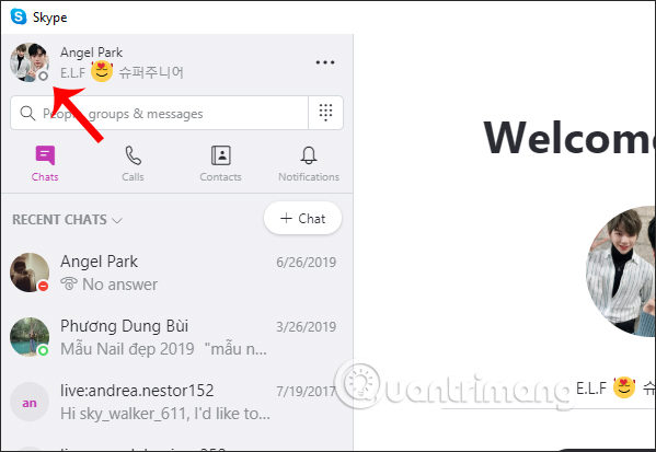 How to hide Skype nick when online Picture 3